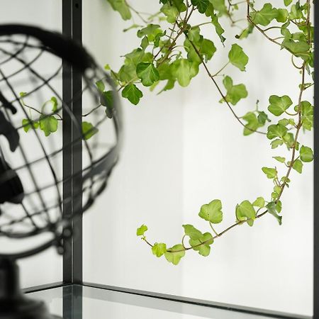 Guestready - Serene Stay In ポルト エクステリア 写真